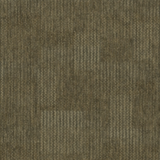 Picture of Pentz - Revolution Transformation