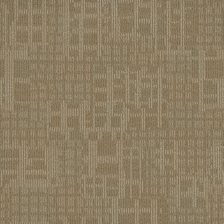 Picture of Pentz - Techtonic Cache