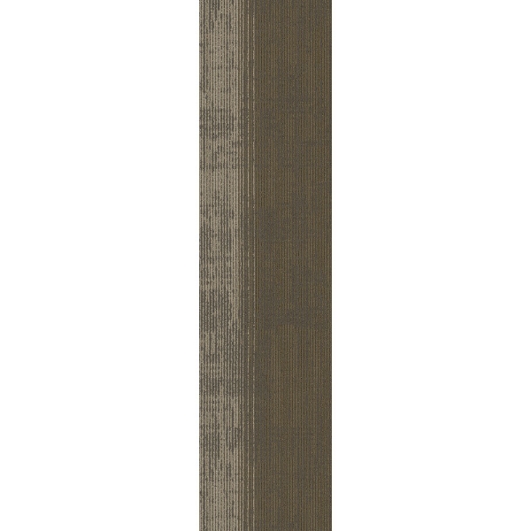 Picture of Pentz - Universe Plank Ecliptic