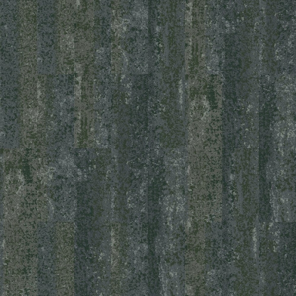 Picture of Shaw Contract - Observe Untamed Forests