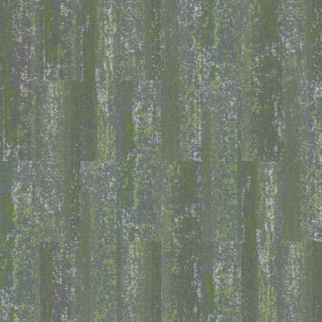 Picture of Shaw Contract - Observe Radiant Nature