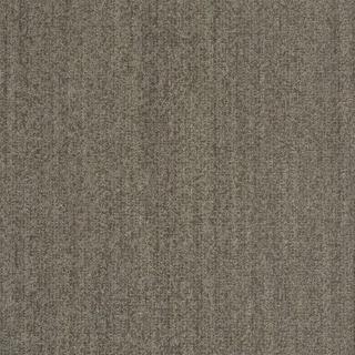 Picture of Shaw Contract - Earth Tone Iroka