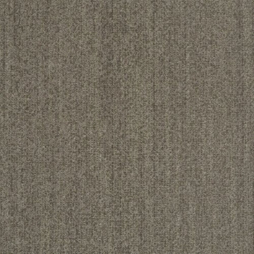 Picture of Shaw Contract - Earth Tone Iroka