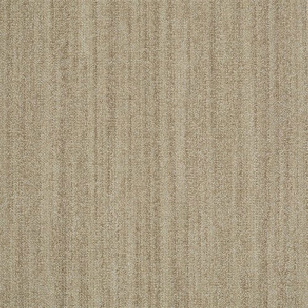 Picture of Shaw Contract - Earth Tone Yucca