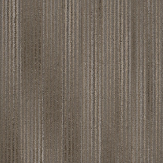 Picture of Shaw Contract - Situation Sierra