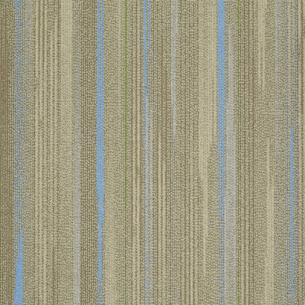 Picture of Shaw Contract - Vibrant Ionized