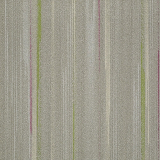 Picture of Shaw Contract - Vibrant Optics