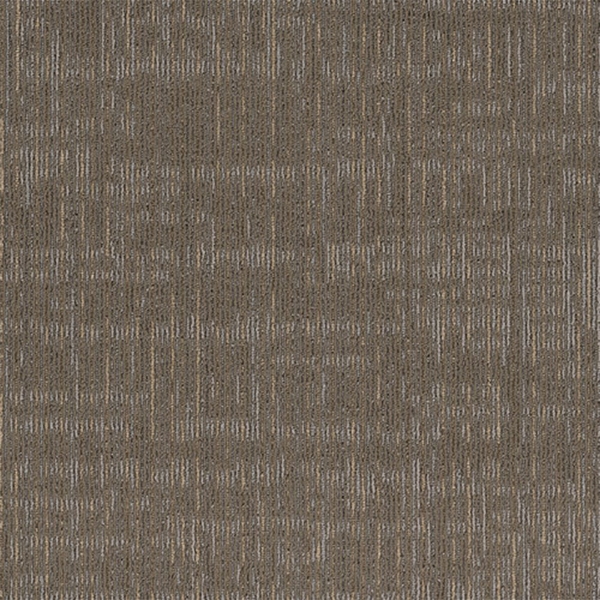 Picture of Shaw Contract - Intent Sierra