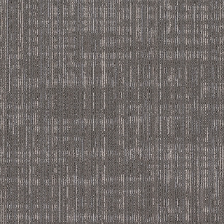 Picture of Shaw Contract - Intent Skylight