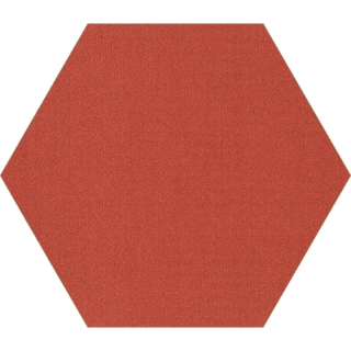 Picture of Shaw Contract - Plane Hexagon Coral