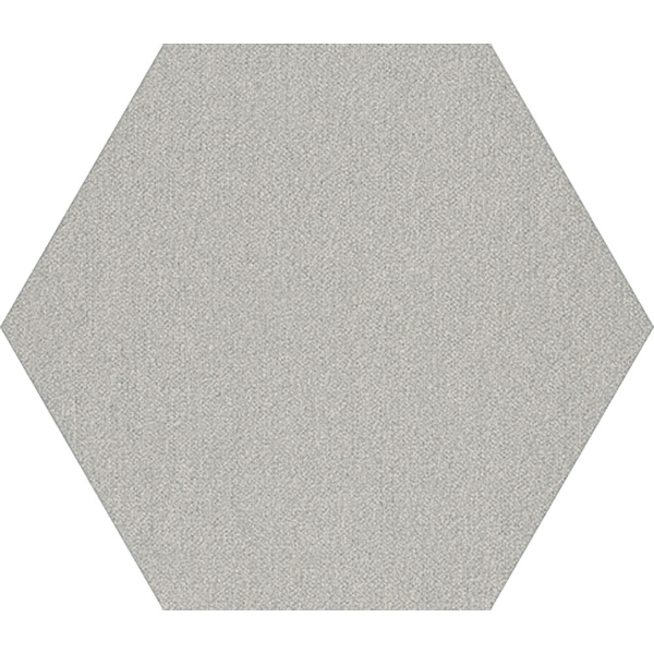 Picture of Shaw Contract - Plane Hexagon Titanium