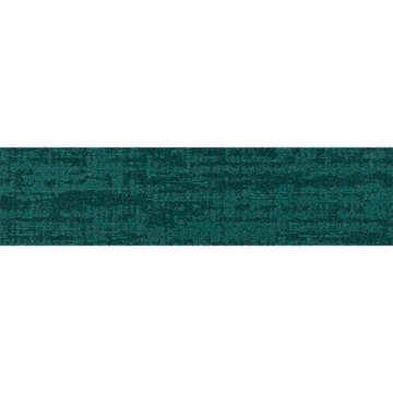 Picture of Shaw Contract - Establish Vivid