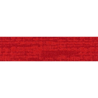 Picture of Shaw Contract - Establish Radiant