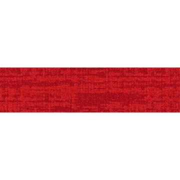 Picture of Shaw Contract - Establish Radiant