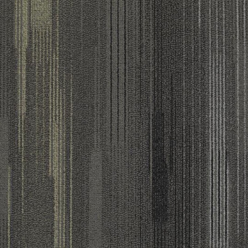 Picture of Shaw Contract - Visible Equinox