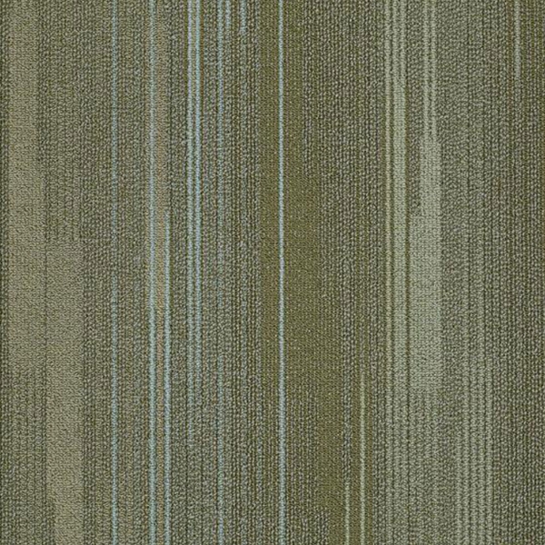 Picture of Shaw Contract - Visible Aurora