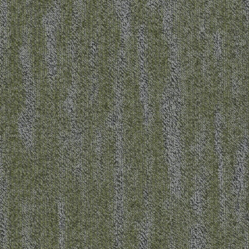 Picture of Shaw Contract - Dream Greenery