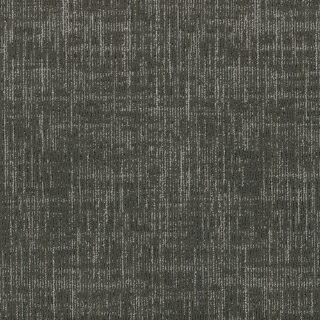 Picture of Shaw Contract - Sculpt Loop Tile Carbon
