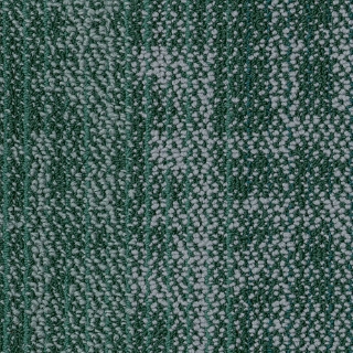 Picture of Shaw Contract - Suspend Tile Greenhouse