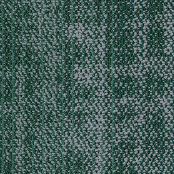 Picture of Shaw Contract - Suspend Tile Greenhouse