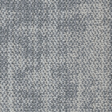 Picture of Shaw Contract - Suspend Tile Quiet