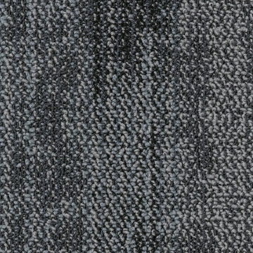 Picture of Shaw Contract - Suspend Tile Filter