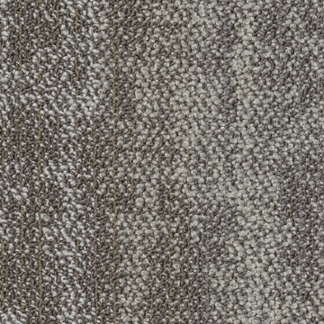 Picture of Shaw Contract - Suspend Tile Branch