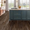 Picture of Chesapeake Flooring - Essentials SPC 7 x 48 Devonshire
