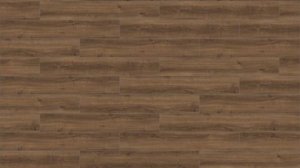 Picture of Mohawk Group - Large and Local Reforestation Burney