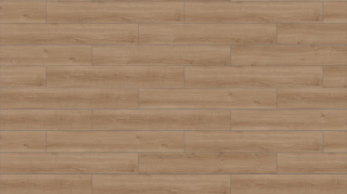 Picture of Mohawk Group - Large and Local Reforestation Cumberland