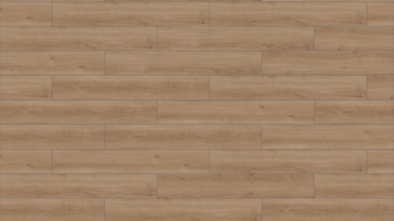 Picture of Mohawk Group - Large and Local Reforestation Cumberland