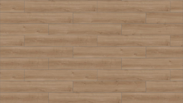 Picture of Mohawk Group - Large and Local Reforestation Cumberland