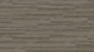 Picture of Mohawk Group - Large and Local Reforestation Racehorse