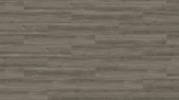 Picture of Mohawk Group - Large and Local Reforestation Racehorse