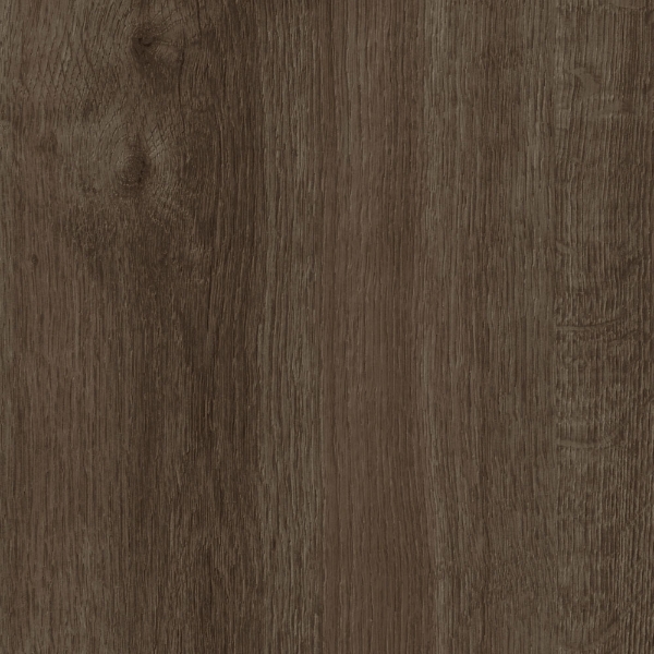 Picture of Mohawk Group - Large and Local Reforestation Turner