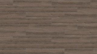 Picture of Mohawk Group - Large and Local Reforestation Yosemite