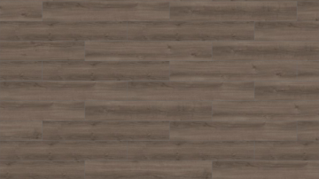 Picture of Mohawk Group - Large and Local Reforestation Yosemite