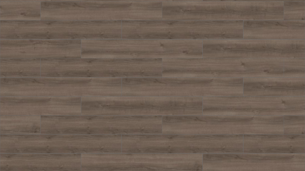 Picture of Mohawk Group - Large and Local Reforestation Yosemite