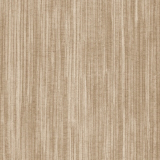 Picture of Shaw Contract - Colorlink 2.5 Evoke