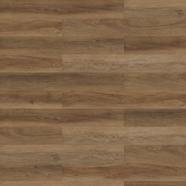 Picture of Shaw Contract - COREtec Repose Estuary