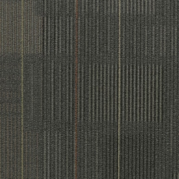 Picture of Shaw Contract - Diffuse 24 x 24 Movement