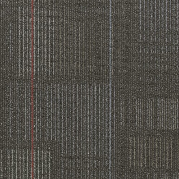 Picture of Shaw Contract - Diffuse 24 x 24 Routes