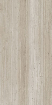 Picture of Elysium - Biotech 12 x 24 Stonewood