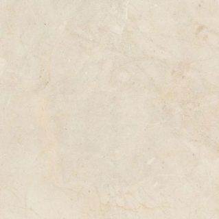 Picture of Elysium - Biotech 48 x 48 Crema Stone R+PTV