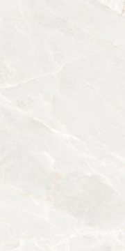 Picture of Elysium - Brasilia 12 x 24 White Polished