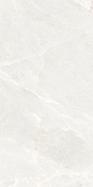 Picture of Elysium - Brasilia 12 x 24 White Polished