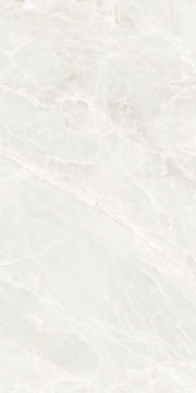 Picture of Elysium - Brasilia 24 x 48 White Polished