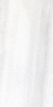 Picture of Elysium - Bruce 12 x 24 Bruce Matte