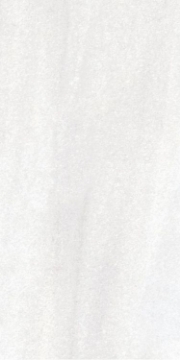 Picture of Elysium - Bruce 12 x 24 Bruce Polished