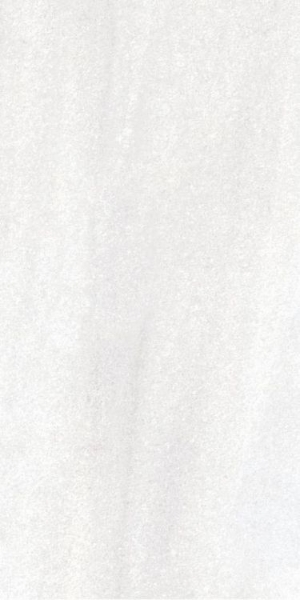 Picture of Elysium - Bruce 12 x 24 Bruce Polished